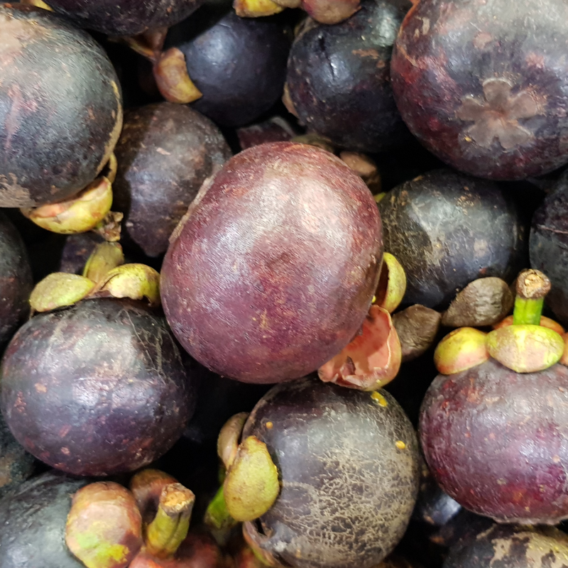 What Are Tannins in Wine?