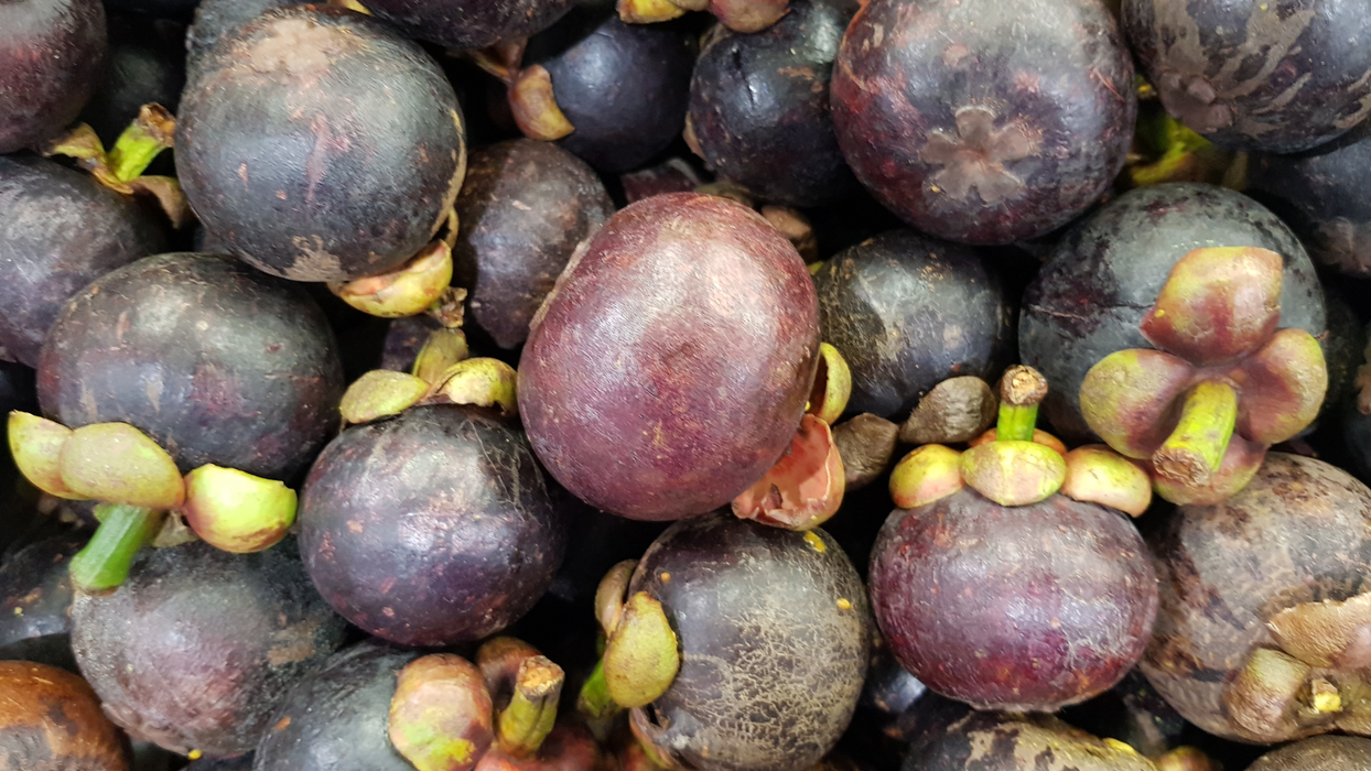 What Are Tannins in Wine?