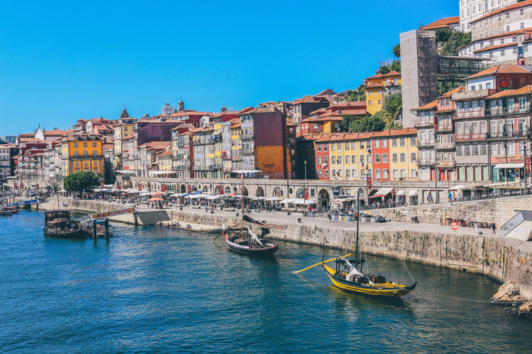 Portuguese Wine Guide
