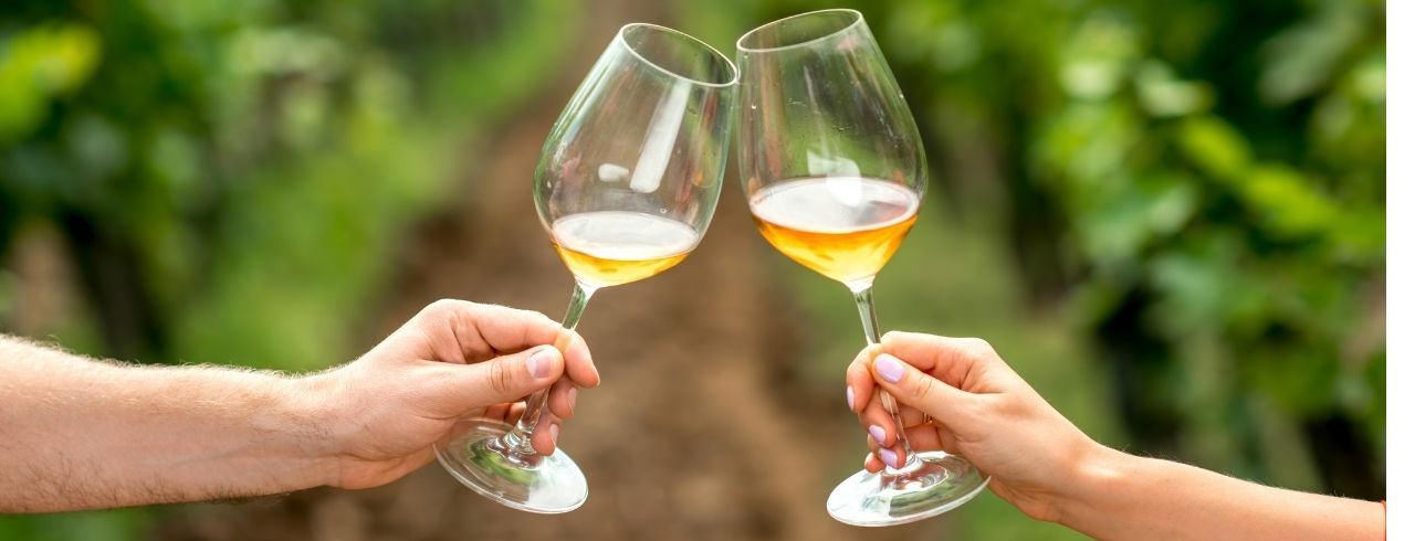 How to Properly Hold a Wine Glass – Wine Insiders