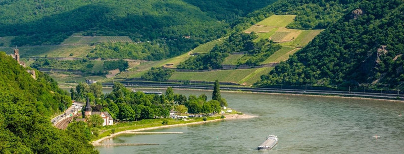 German Wine Guide