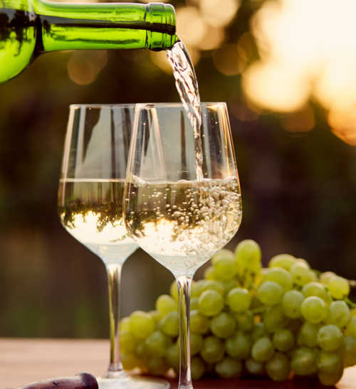 Shop Sustainable Sips