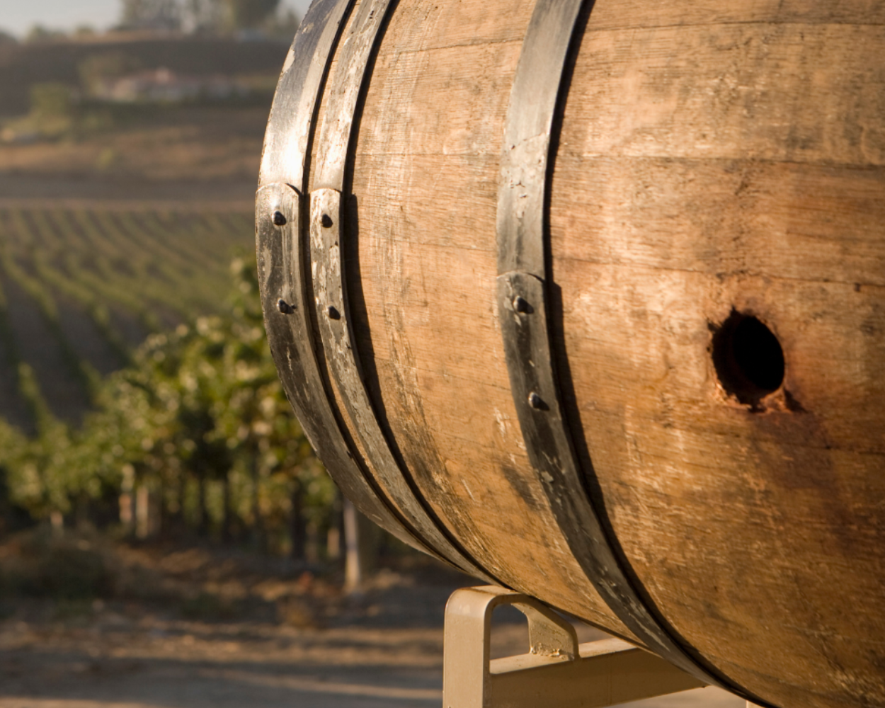 A rustic wine barrel in a Portuguese vineyard, representing Wine Insiders’ selection of bold reds from Douro Valley and refreshing Vinho Verde wines.