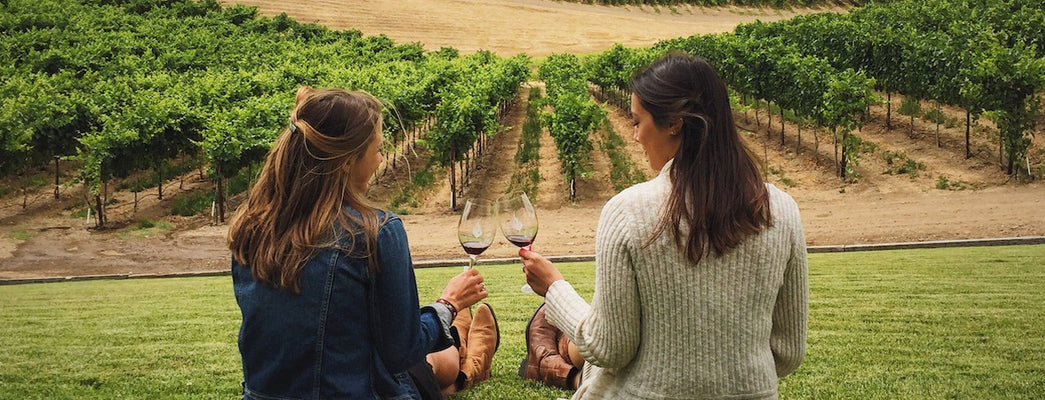 11 Interesting Facts About California Wine