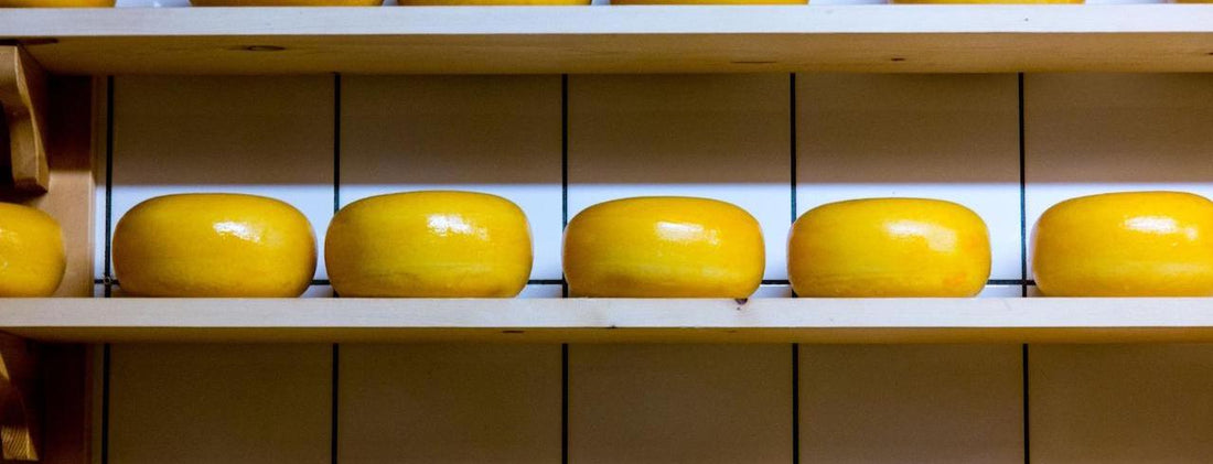 Gouda Cheese Circles