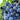 Everything You Need to Know About Tempranillo Wine