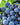 Everything You Need to Know About Tempranillo Wine