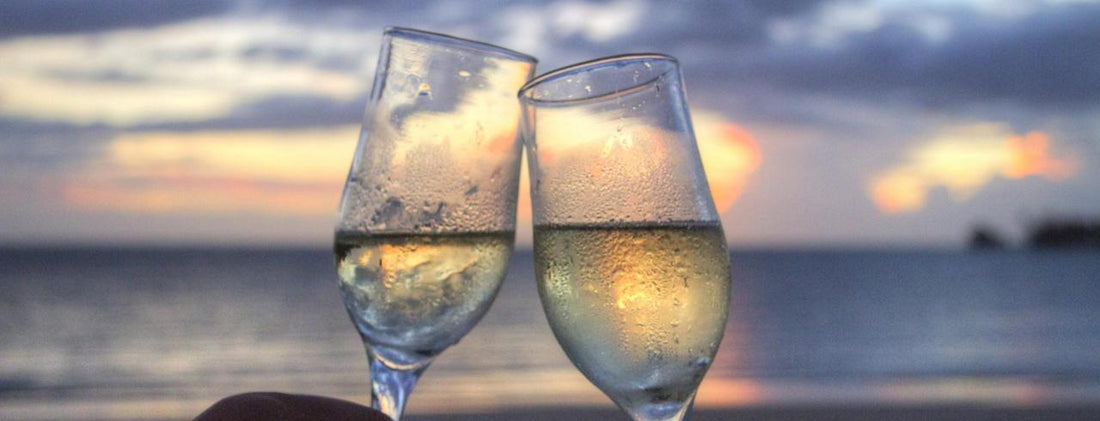 What is Cava? Spain's Sparkling Wine