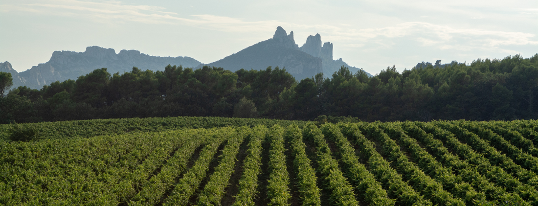 What is AOC wines?