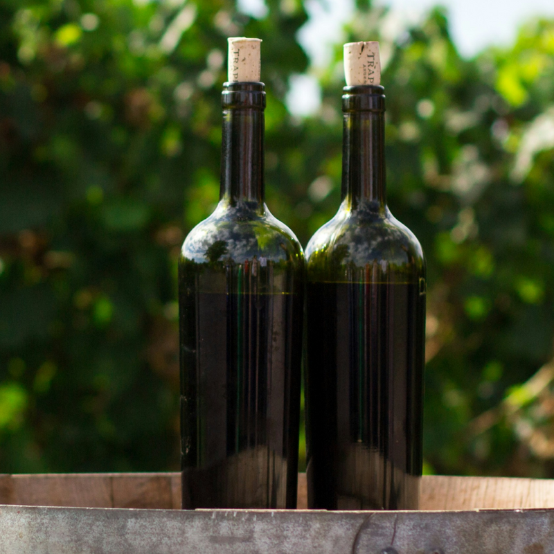 Valpolicella Wine Explained: Taste, Food Pairings, How to Serve, Best Types & Regions