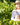 Feature on Female Winemakers