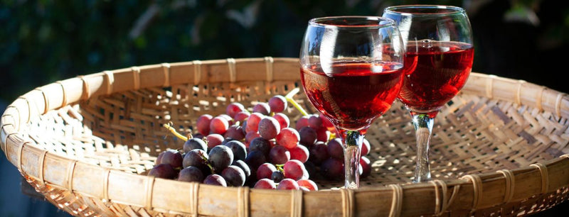 A Comprehensive Guide to Aglianico Wine
