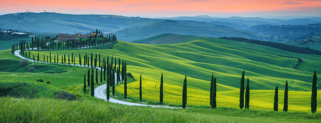 Italian Wine Guide