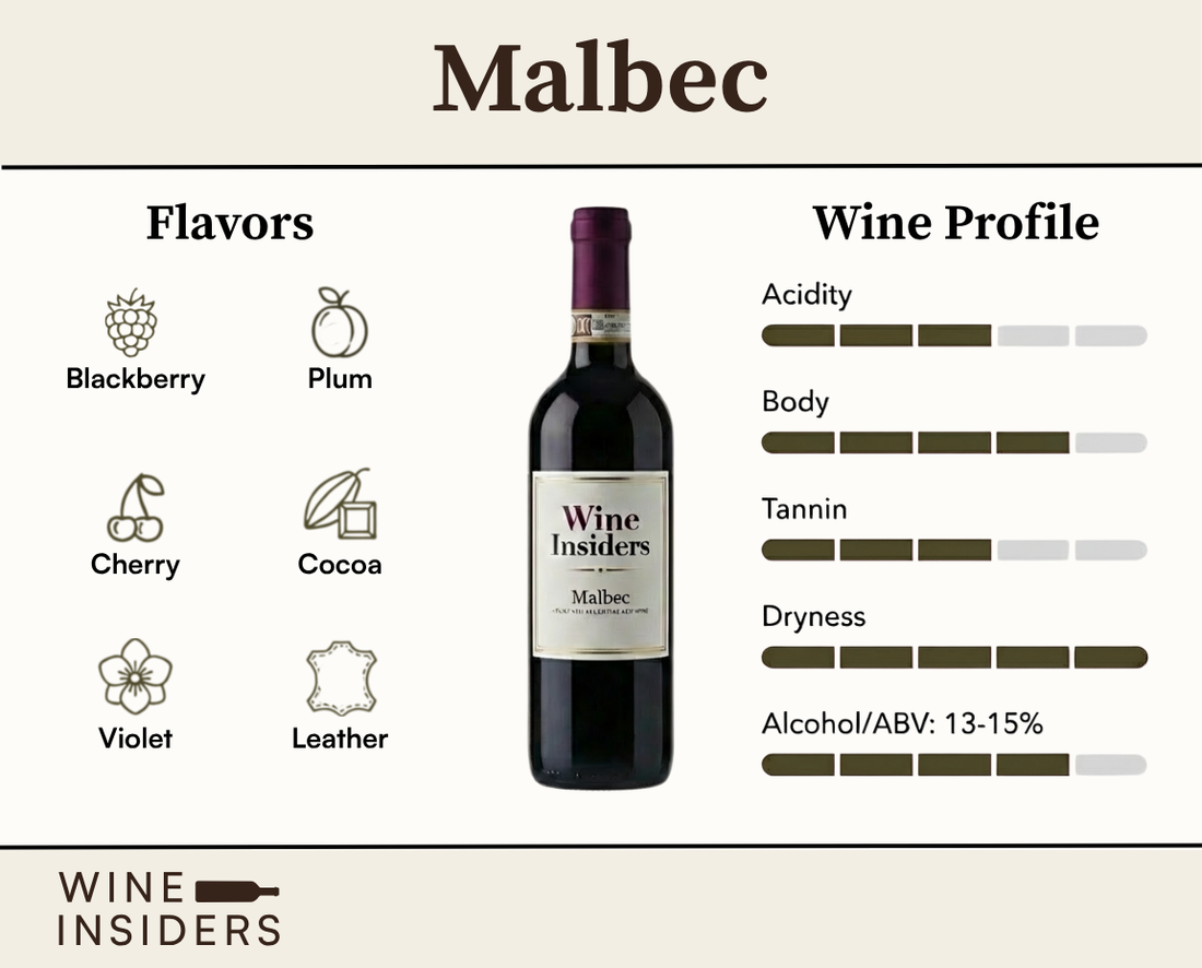 Malbec wine guide