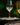 Pinot Grigio vs. Chardonnay