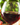 Glasses of merlot wine.