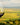 What Does Cru Wine Mean?