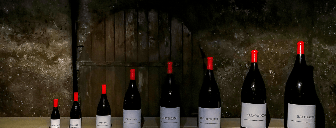 Wine bottle size guide.