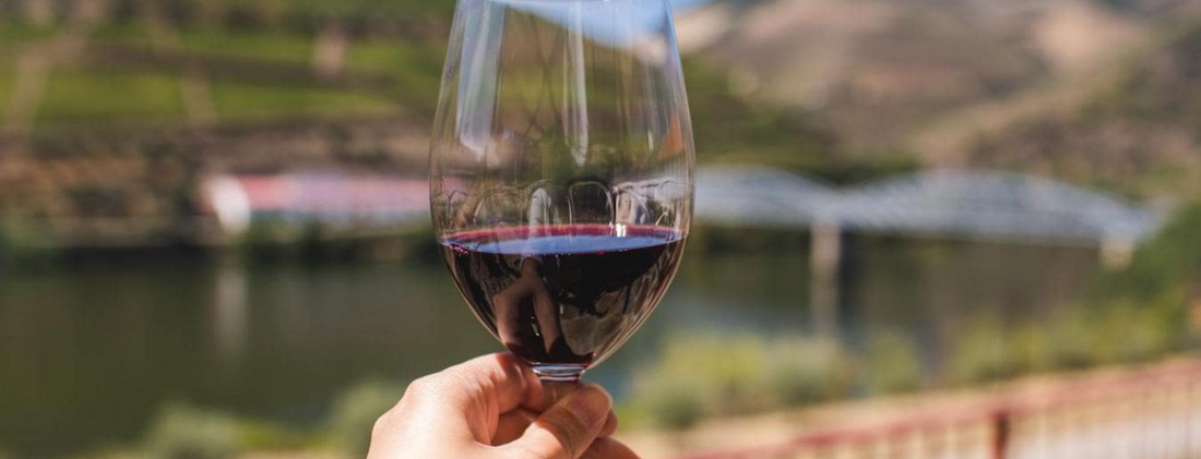 Red Wine Glass Against Nature