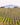 Why Some Countries Are Protective Of Their Wine Varietals