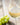 Albariño