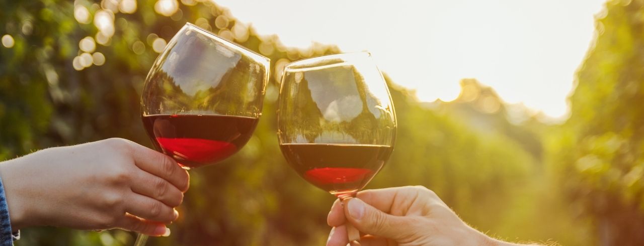 10 Fun Facts About Red Wine