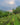 What is Barbera Wine?