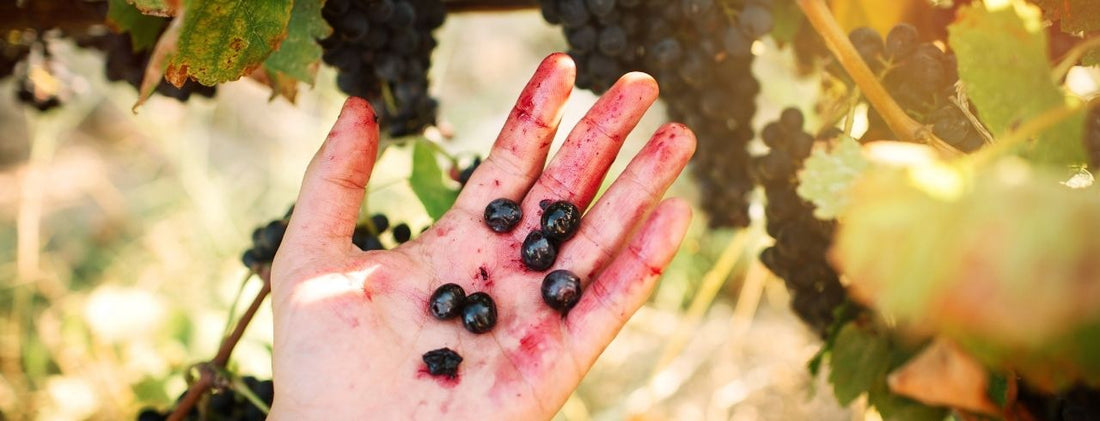 what is clean wine?