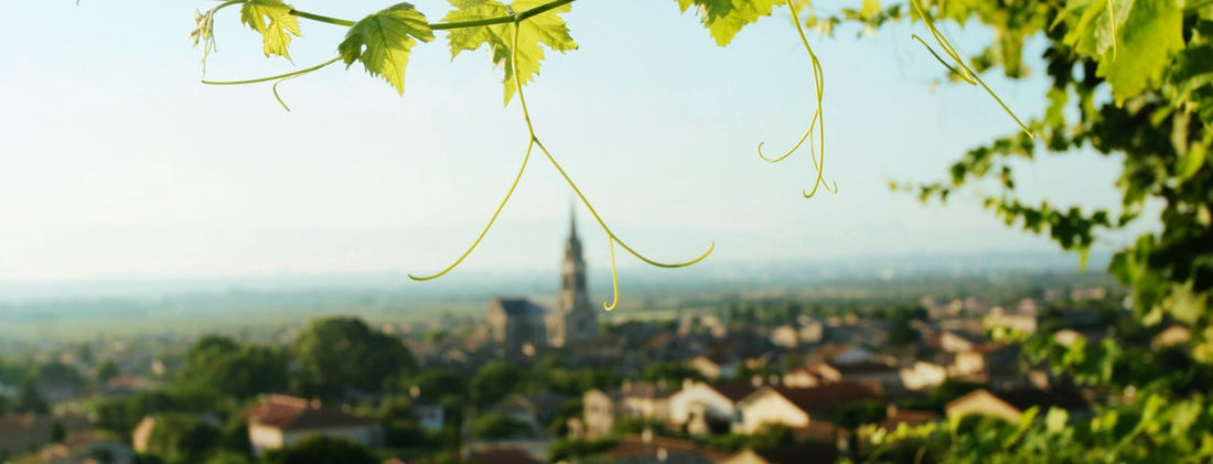Growing up in Burgundy