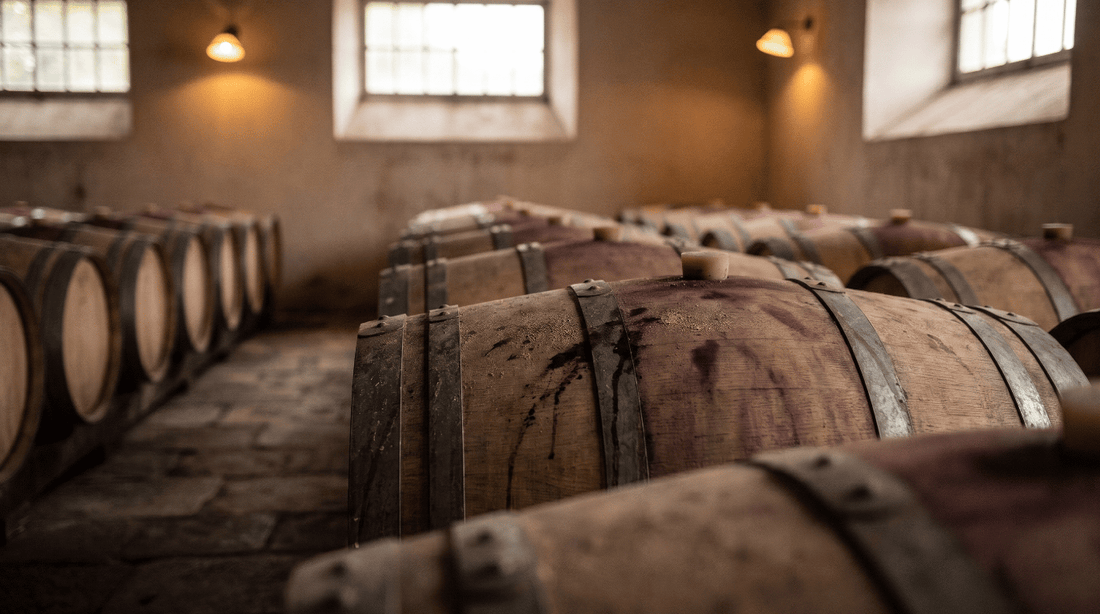 Wine Fermentation 101: A Beginner's Guide to the Magic in Your Glass