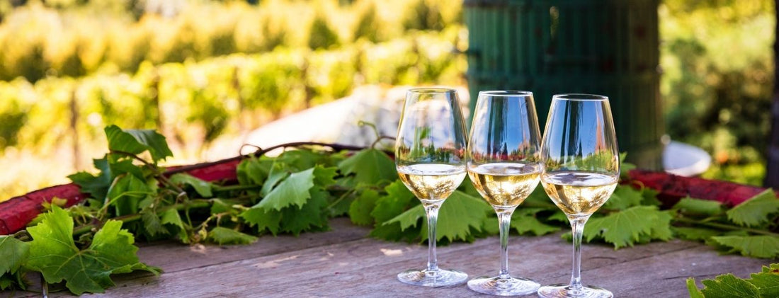 what is organic wine?