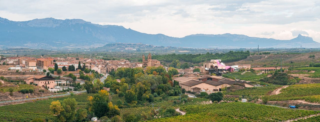 What is Rioja wine?