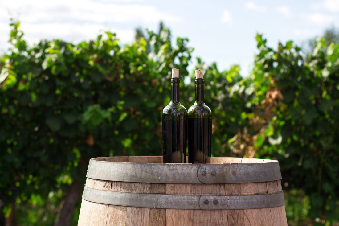 Two wine bottles on barrel in French vineyard