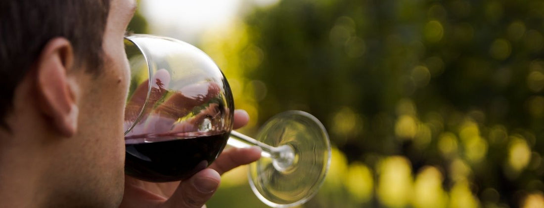 Why Does Red Wine Make You Sleepy?