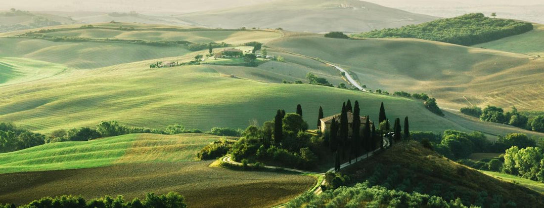 Terroir Wine Valley