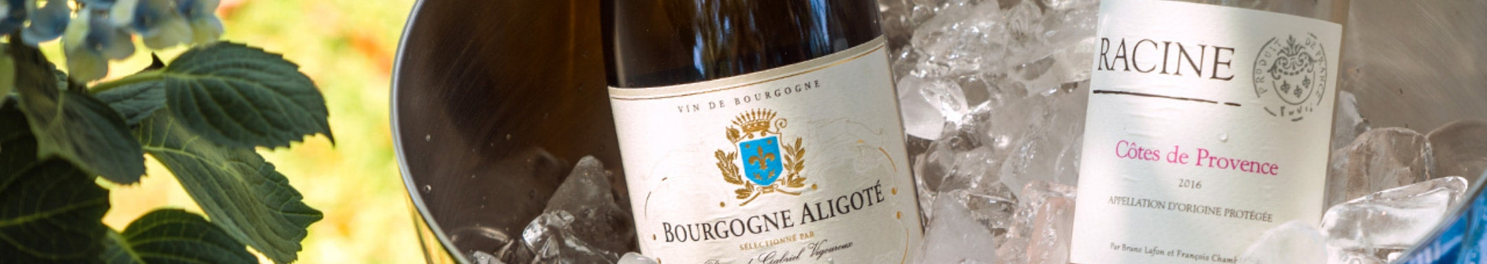 Shop Wines from France
