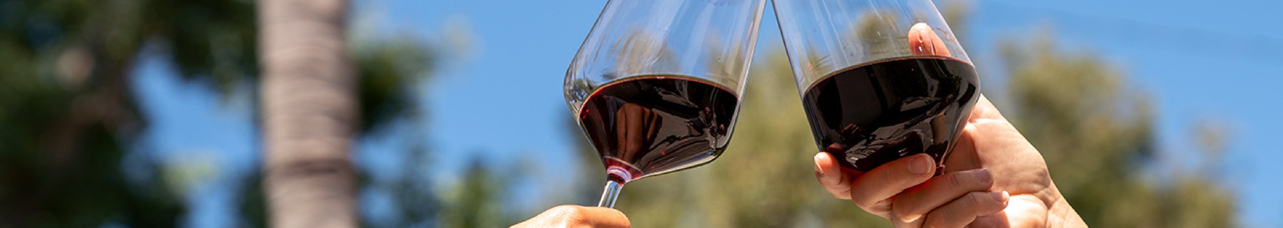 Top-Rated Wines of the Year