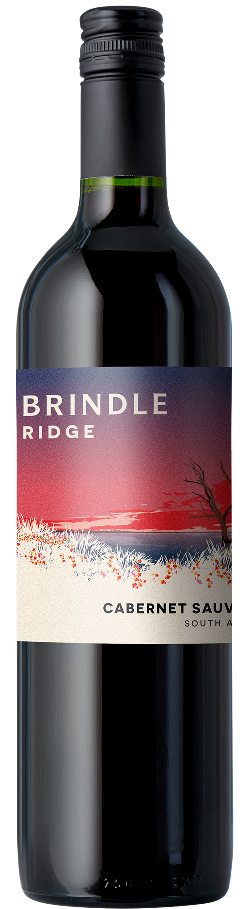 WI-2024-Brindle-Ridge-Cabernet-Sauvignon--South-Australia.png
