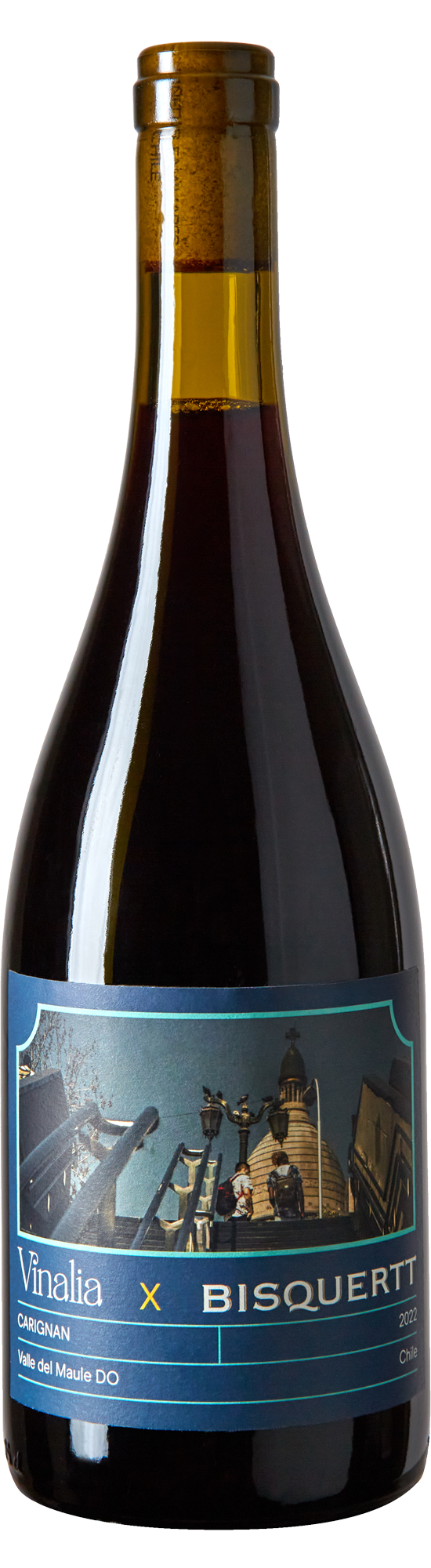 2022 Vinalia x Bisquertt Carignan