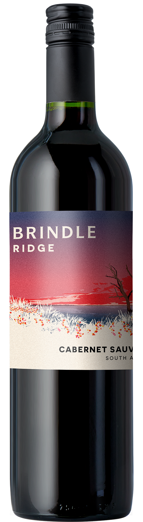 2024 Brindle Ridge Cabernet Sauvignon