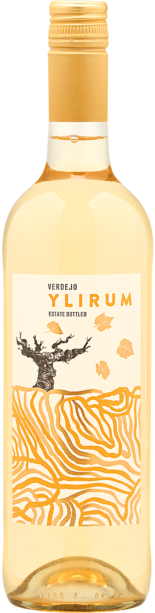 2022 Ylirum Verdejo