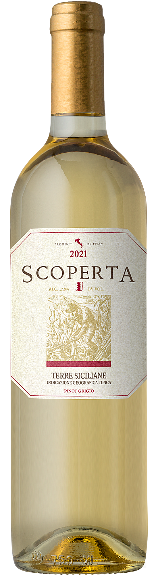 2021 Scoperta Pinot Grigio