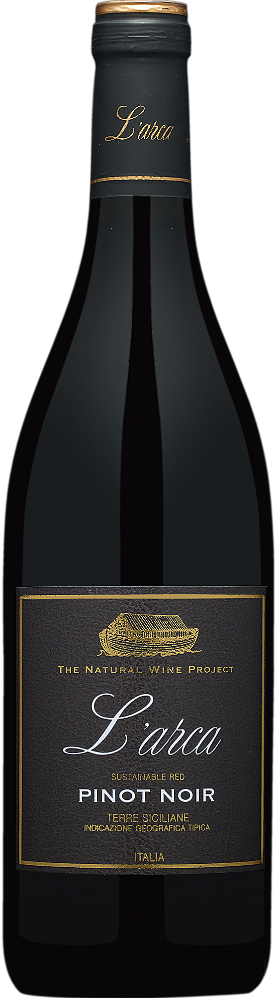 2021 L'arca Pinot Noir Sicily I.G.T.