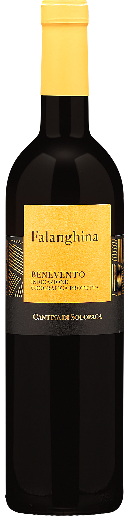 2022 Cantina Di Solopaca Falanghina I.G.P.