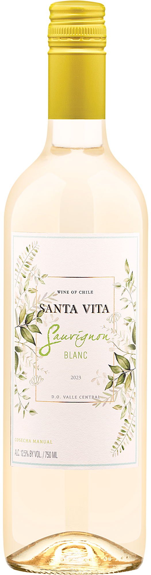 2023 Santa Vita Sauvignon Blanc