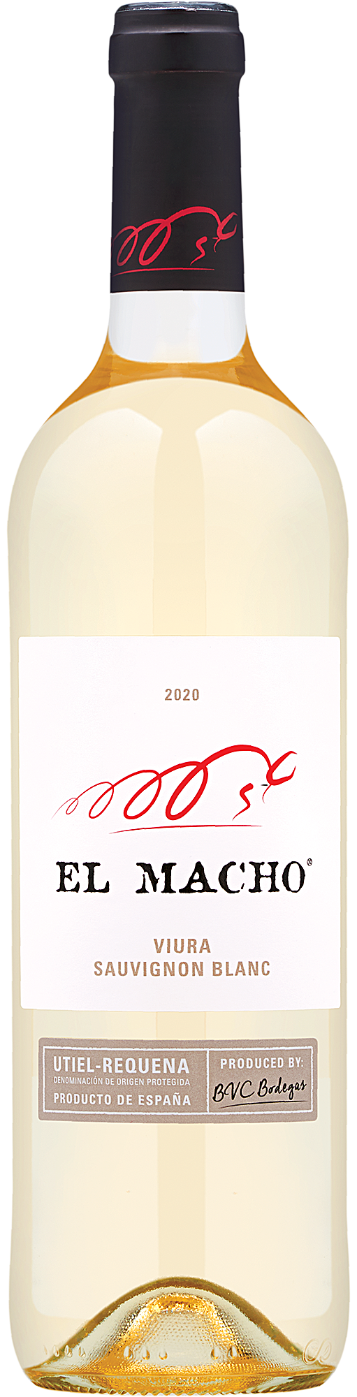 2020 El Macho Blanco