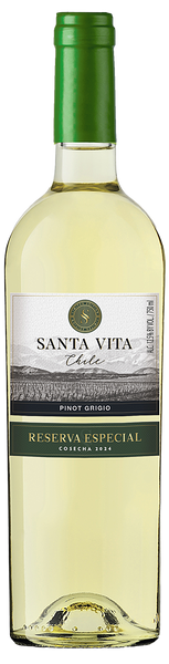 2024 Santa Vita Pinot Grigio – Wine Insiders