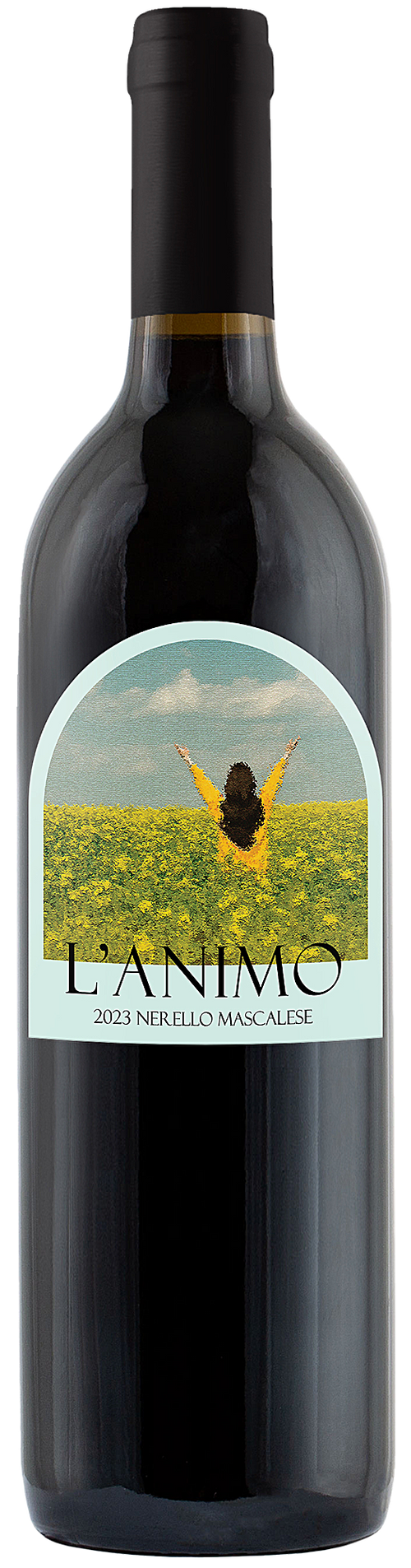 ペリーコ ANIMA 10 VITELLO NERO 35 E261286_1 2023 L'Animo Nerello Mascalese – Wine Insiders