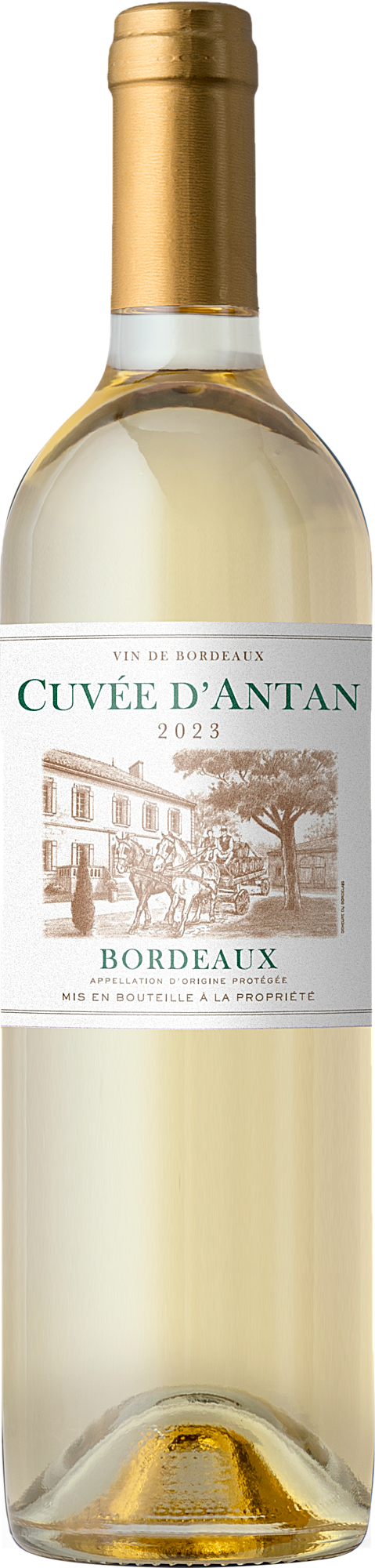 2023 Cuvée d'Antan AOP Bordeaux Blanc