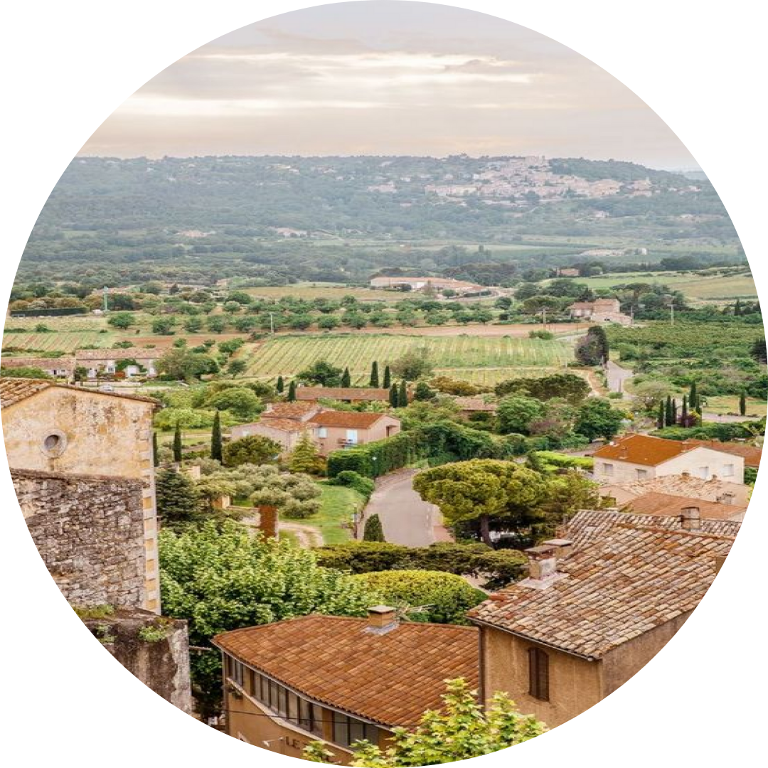 Rolling vineyards in Italy, home to bold reds like Chianti and crisp Pinot Grigio.